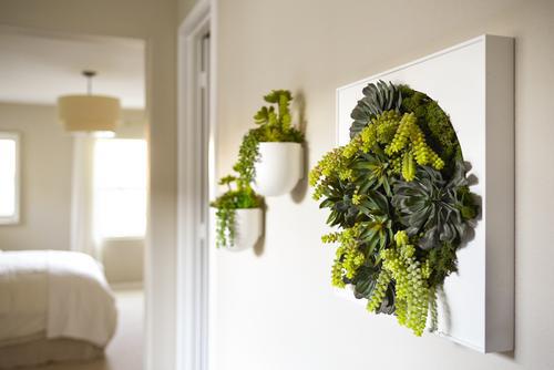 green plant wall decor