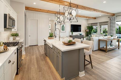 kitchen in the Savannah plan at Allevare by Toll Brothers