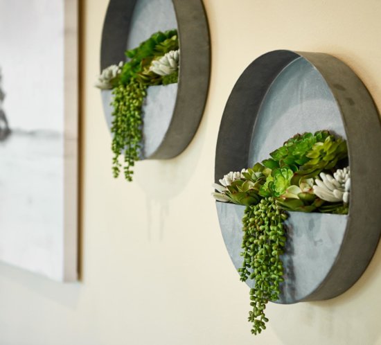 set of two wall planters by Chameleon Design