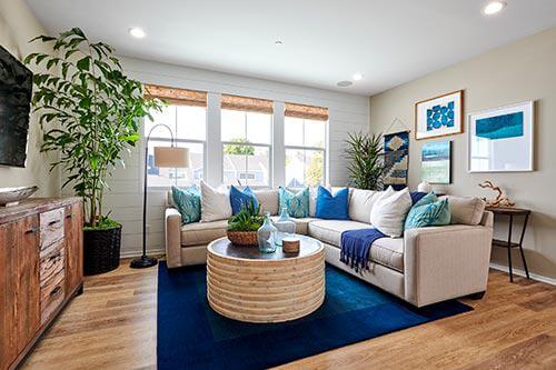 blue rug in living room by Chameleon Design