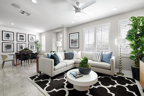 black and white patterned rug in living room by Chameleon Design
