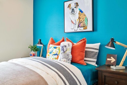 bright blue accent wall in dog theme kid’s bedroom by Chameleon Design
