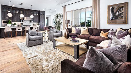 plush living room with shag rug