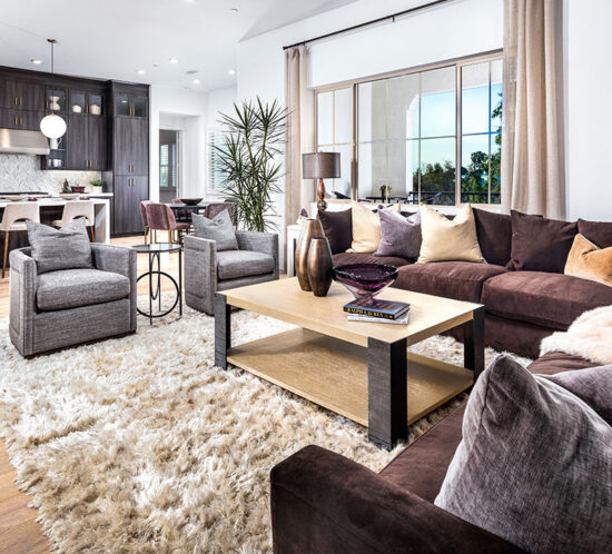 plush living room with shag rug